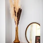 Maison Des Chanoines *
