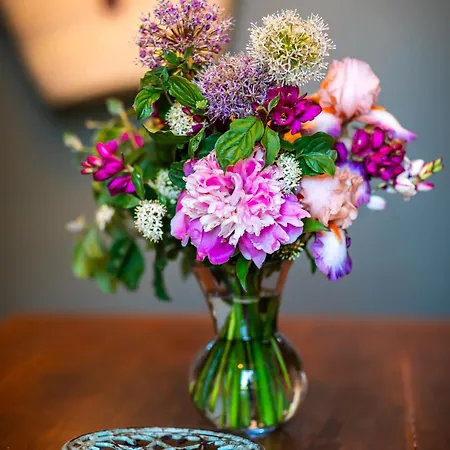 Maison Des Chanoines *