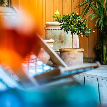 Maison Des Chanoines Dom wakacyjny Sarlat-la-Canéda