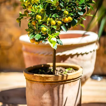 Maison Des Chanoines *