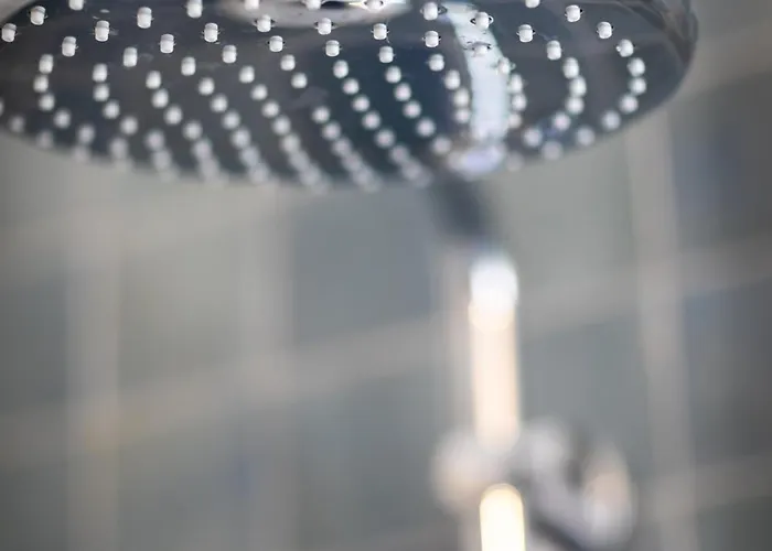 Maison Des Chanoines