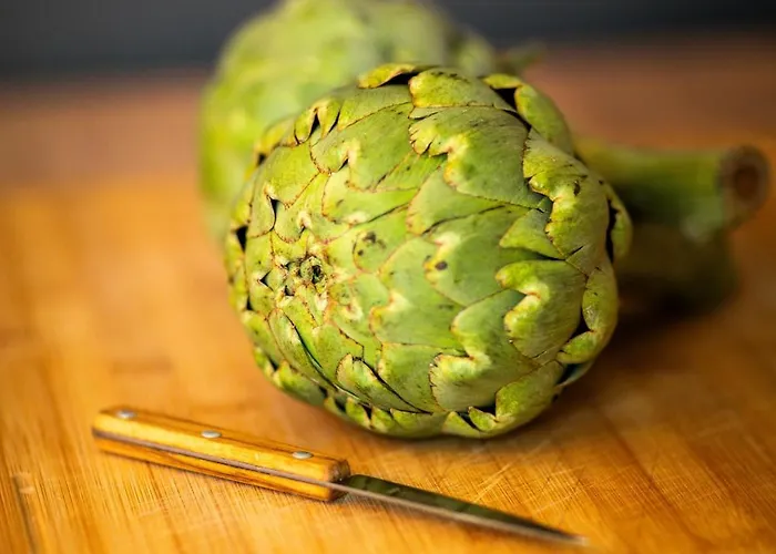 Maison Des Chanoines * Sarlat-la-Canéda