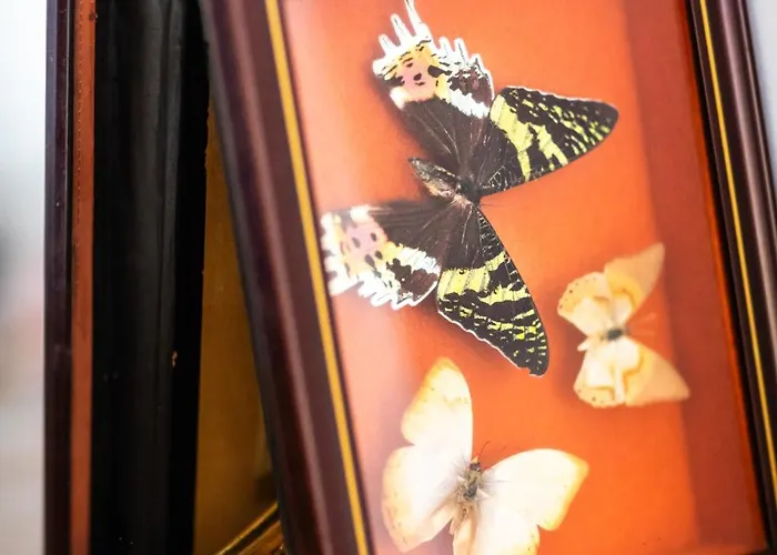 Maison Des Chanoines Prázdninový dům Sarlat-la-Canéda